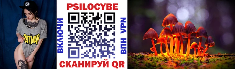 Галлюциногенные грибы Magic Shrooms  цены наркотик  Апшеронск 